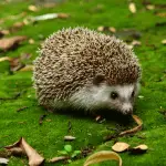 Top Factors to Consider When Buying Drink Containers