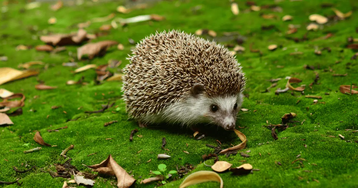 Top Factors to Consider When Buying Drink Containers 25 Top Factors to Consider When Buying Drink Containers