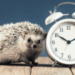 From Sonic to Shakespeare: 15 Names Inspired by Fictional Characters