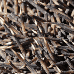 Hedgehog Vs. Porcupine: Spotting the 7 Key Differences