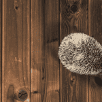 The Financial Aspect of Owning a Hedgehog: Initial and Ongoing Costs